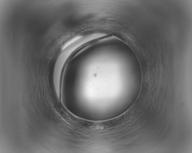 X0000053070687200507251500