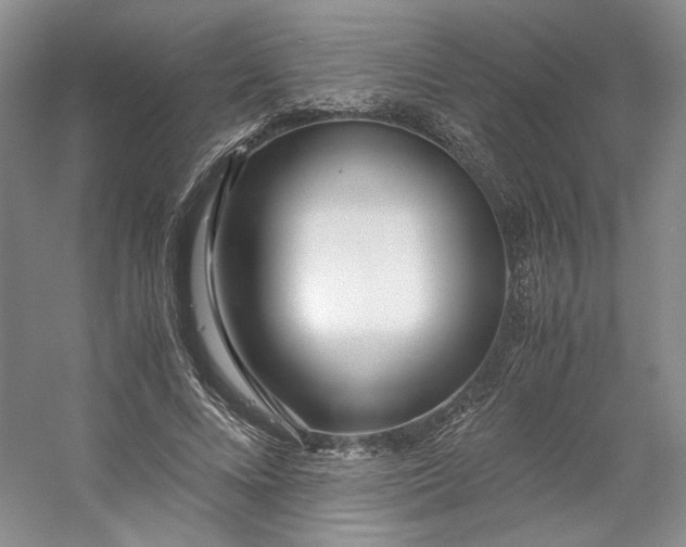 X0000053070688200507251500