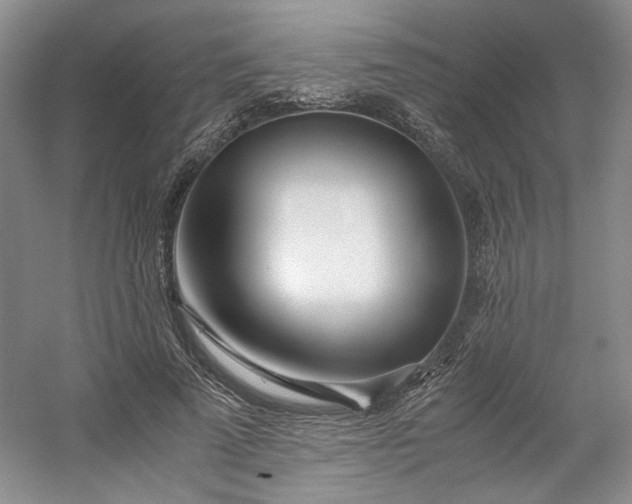 X0000053070689200507251500