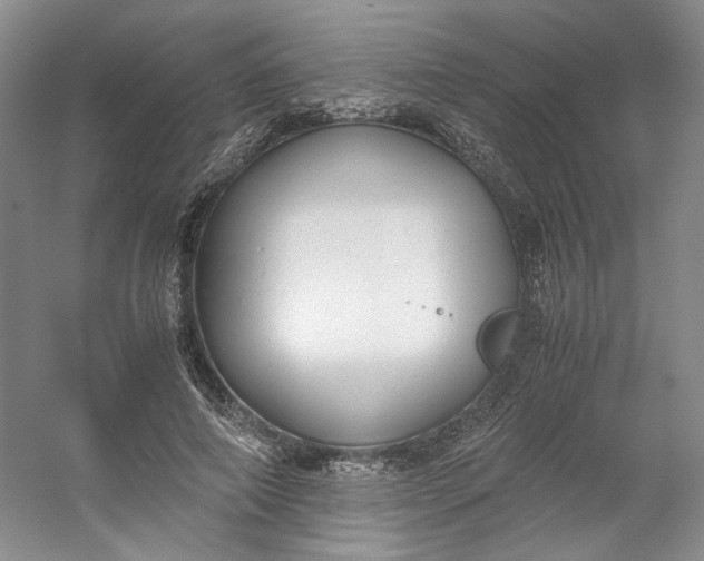 X0000053070690200507251500