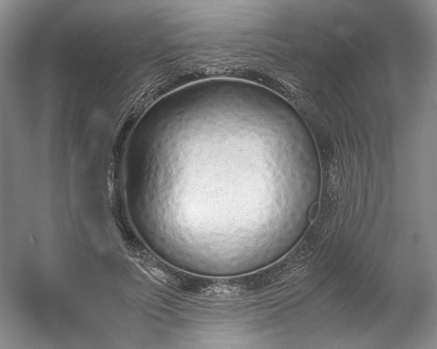 X0000053070691200507251500