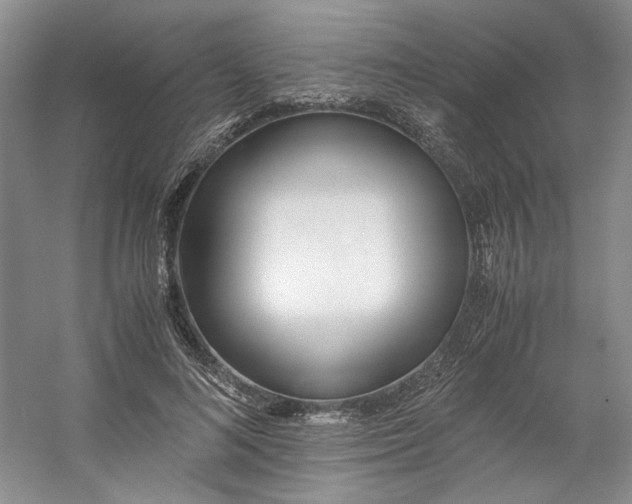 X0000053070692200507251500