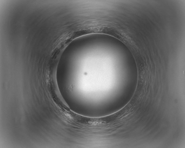 X0000053070693200507251500