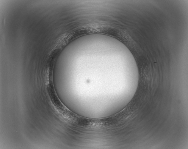 X0000053070694200507251500