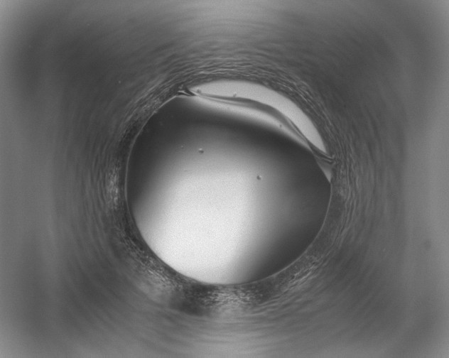 X0000053070697200507251500