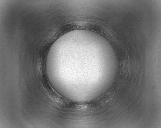 X0000053070698200507251500