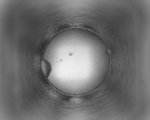 X0000053070699200507251500