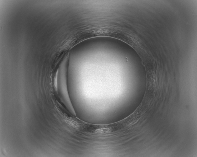 X0000053070700200507251500