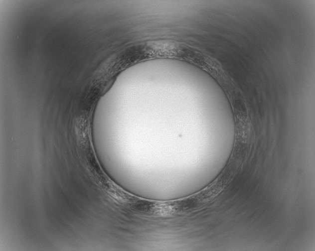 X0000053070701200507251500