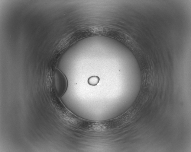 X0000053070702200507251500