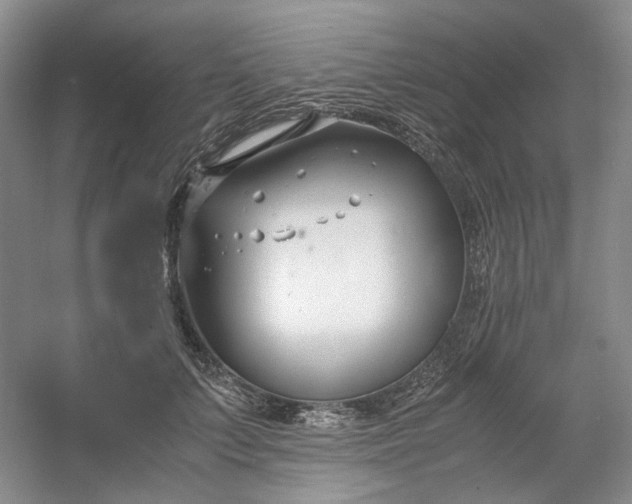 X0000053070703200507251500