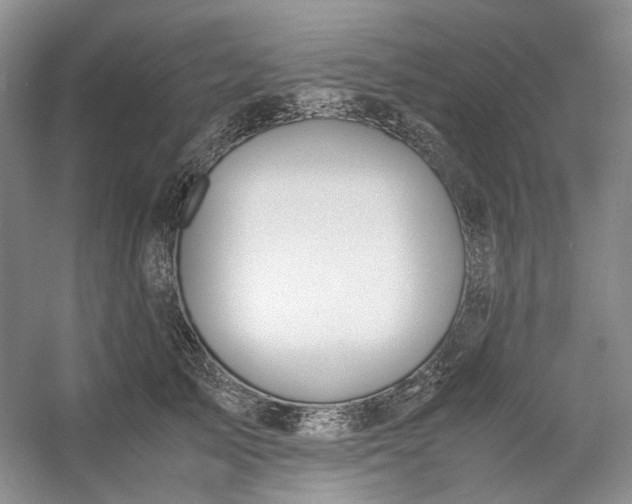 X0000053070705200507251500