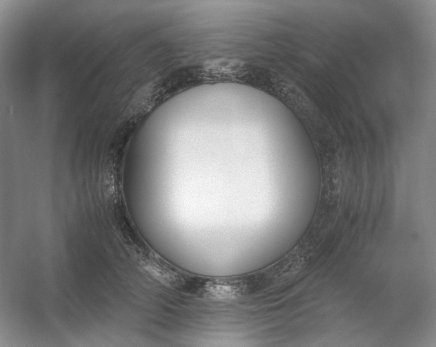 X0000053070706200507251500