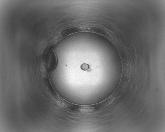 X0000053070707200507251500