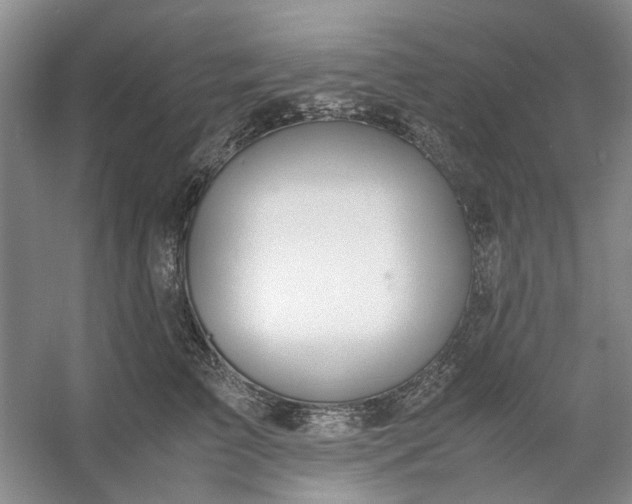 X0000053070709200507251500