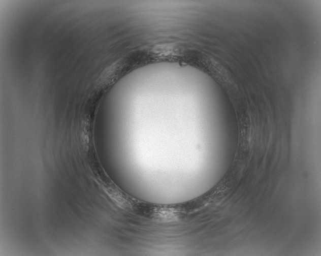 X0000053070710200507251500