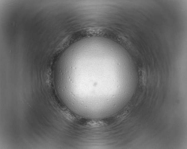 X0000053070712200507251500