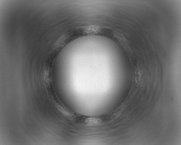 X0000053070714200507251459