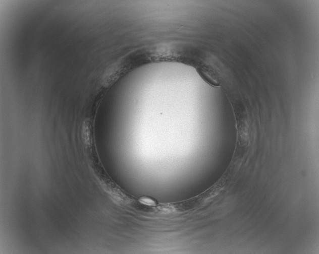 X0000053070715200507251459