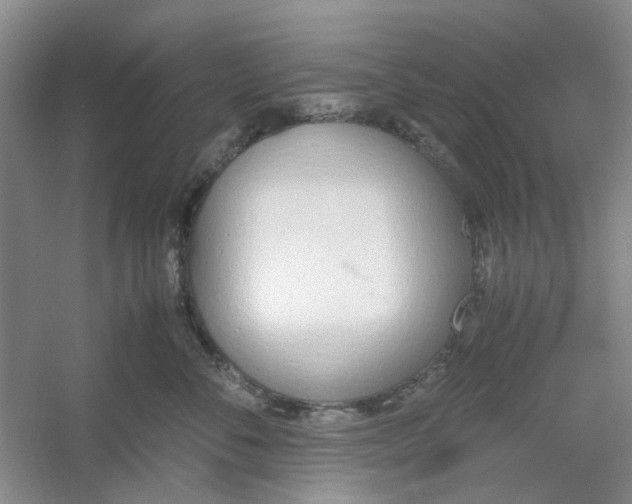 X0000053070716200507251459