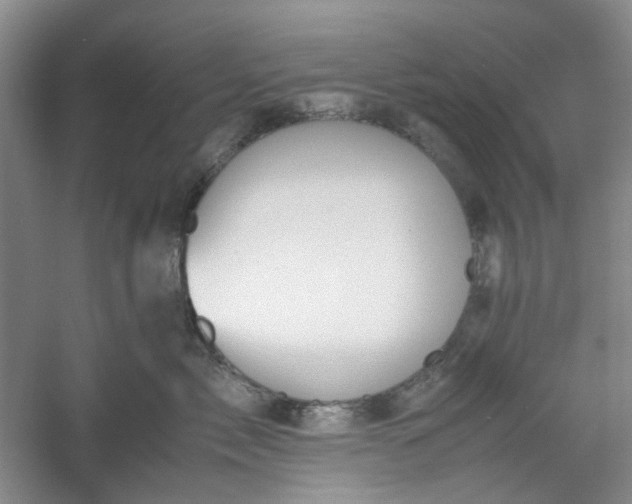 X0000053070717200507251459