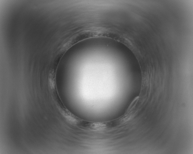 X0000053070719200507251459