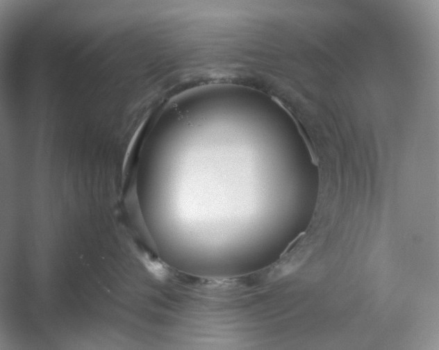 X0000053070720200507251459