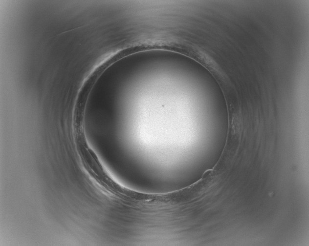 X0000053070722200507251459