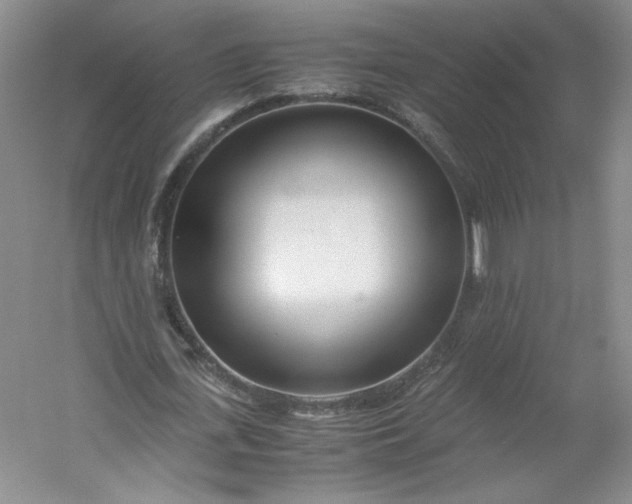 X0000053070723200507251459