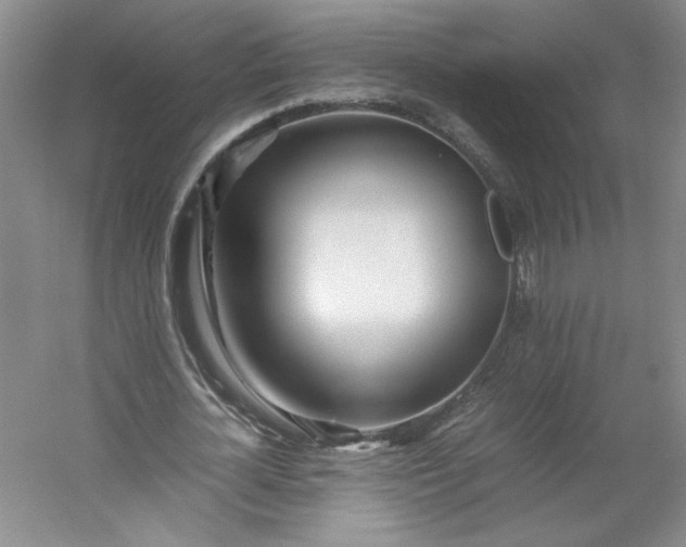 X0000053070724200507251459