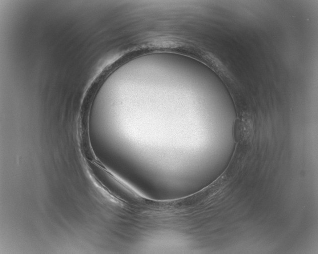 X0000053070726200507251459