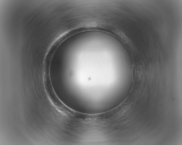 X0000053070728200507251459