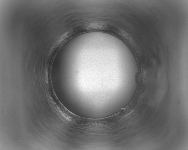 X0000053070729200507251459