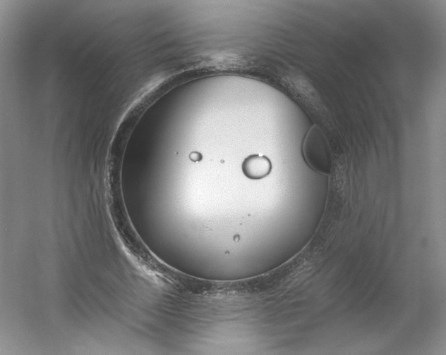 X0000053070730200507251459