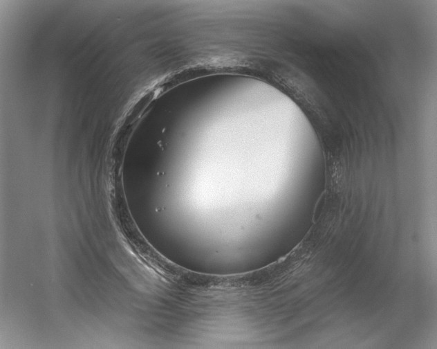 X0000053070732200507251459