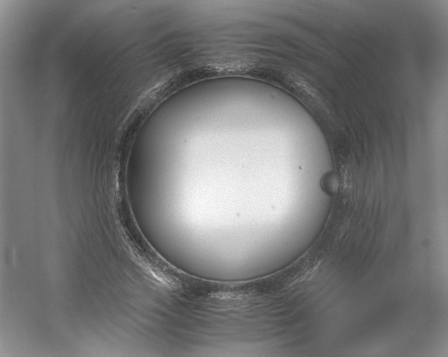 X0000053070733200507251459