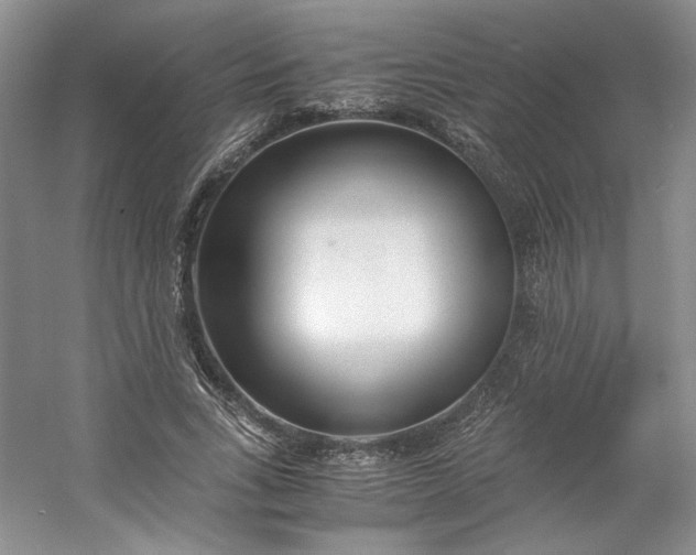 X0000053070735200507251459