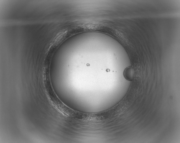 X0000053070738200507251459