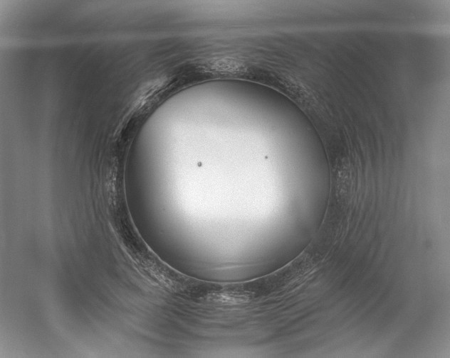 X0000053070739200507251459