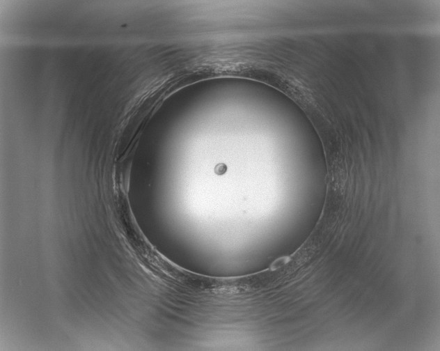 X0000053070740200507251459