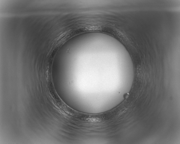 X0000053070741200507251459