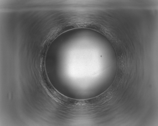 X0000053070742200507251459