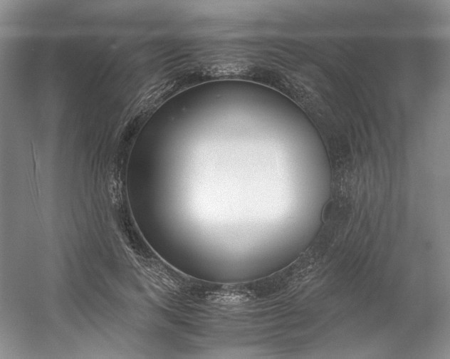 X0000053070743200507251459