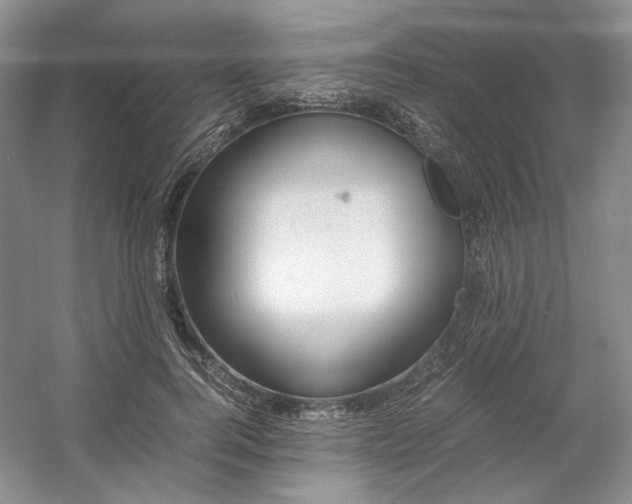 X0000053070744200507251459