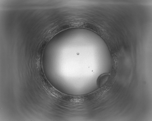 X0000053070745200507251459