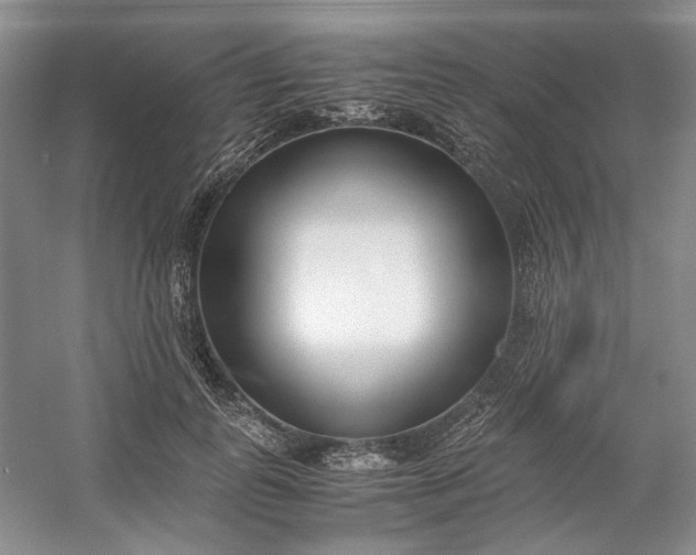 X0000053070747200507251459