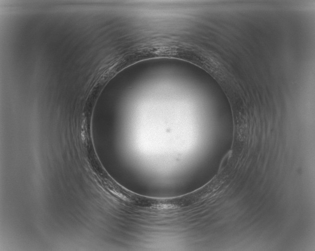 X0000053070748200507251459