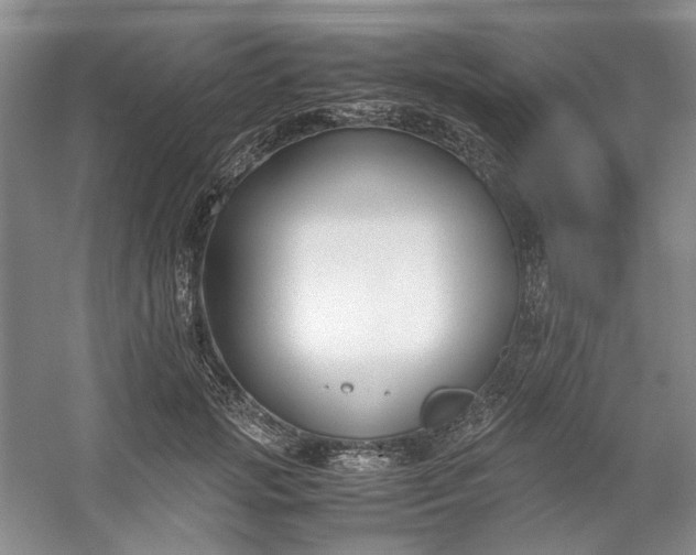 X0000053070749200507251459