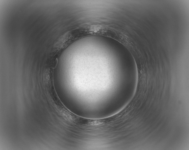 X0000053070754200507251459