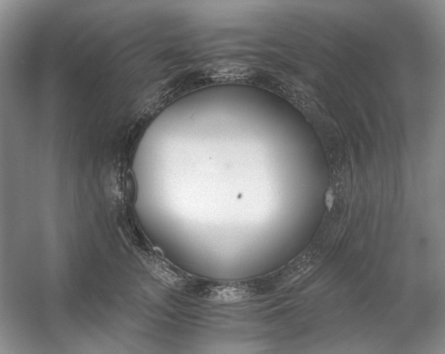 X0000053070755200507251459